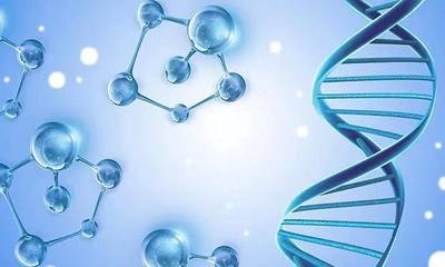 合成生物学与干细胞技术共筑未来 类器官为人类生物学研究注入革命性动力