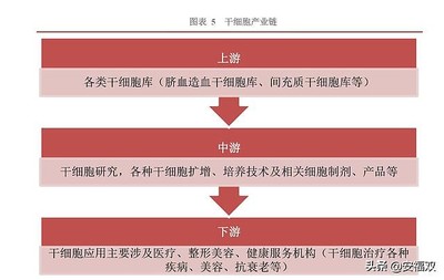 赛莱拉 聚焦研发的新三板精选层干细胞新秀，何以挑战行业巨头？